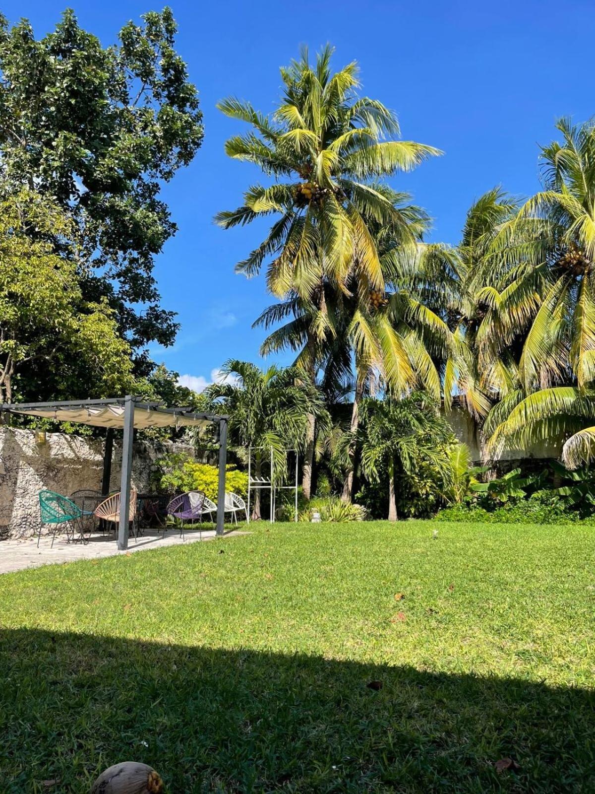 Coco 2 Spacious Downtown With Garden