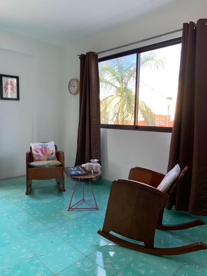 Apartment Coco 2 Spacious Downtown With Garden