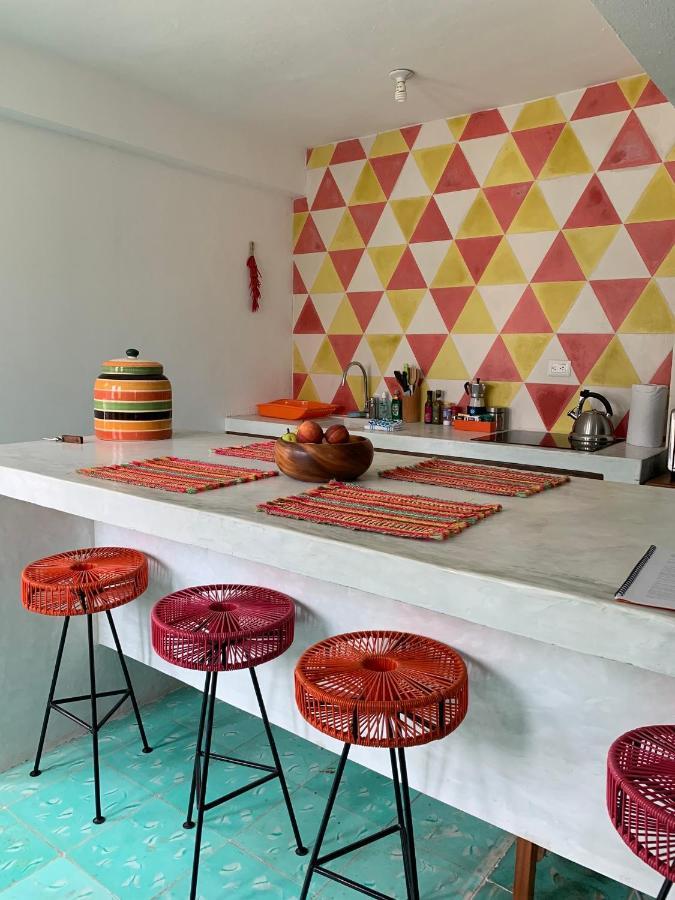 Coco 2 Spacious Downtown With Garden Apartment Cozumel