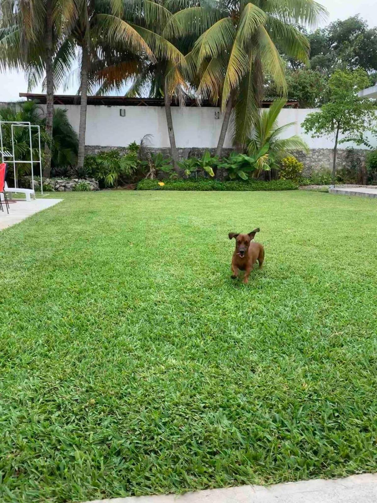 Coco 2 Spacious Downtown With Garden Apartment *